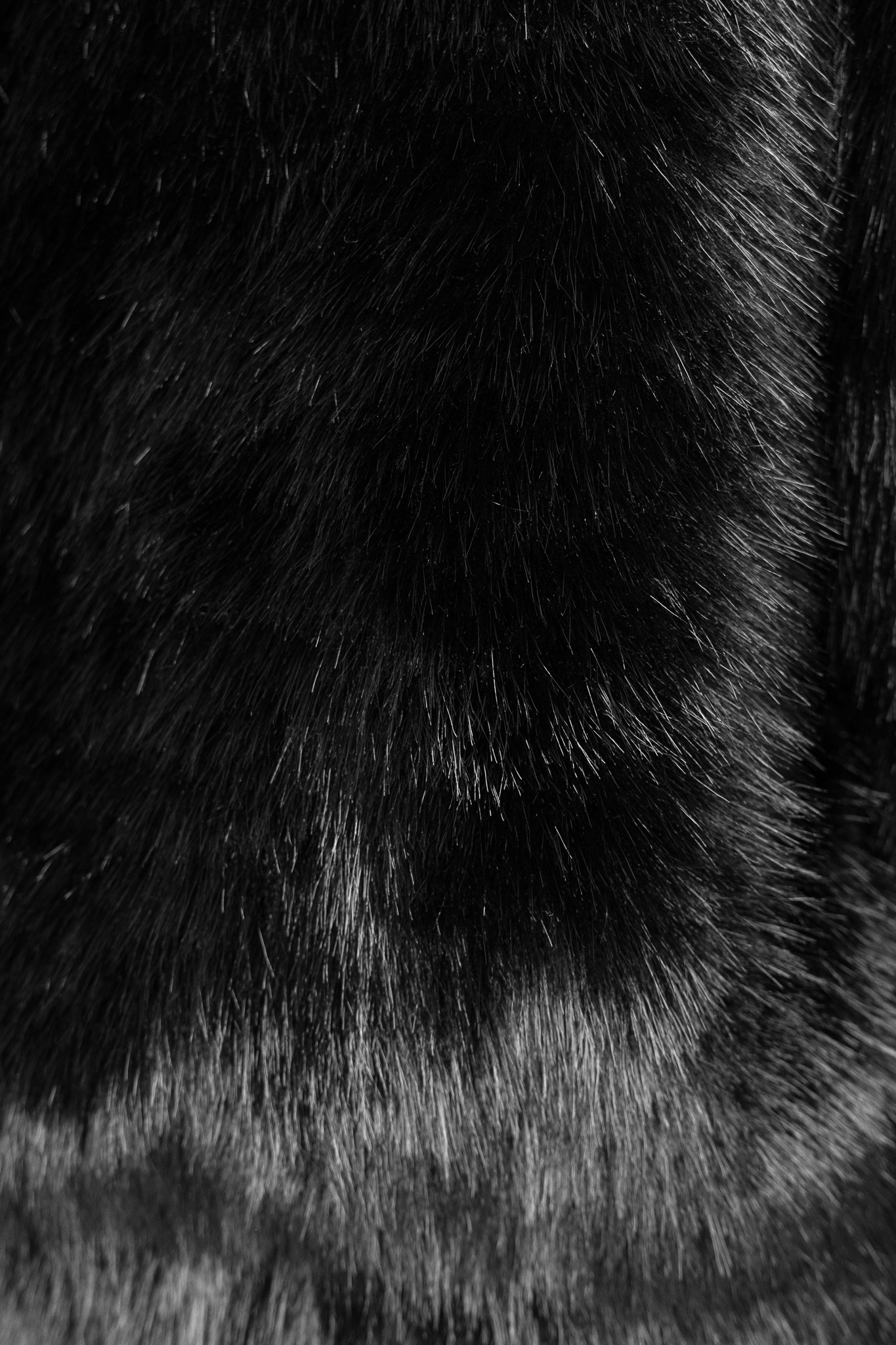 FAUX FUR JACKET FAUX FUR JACKET